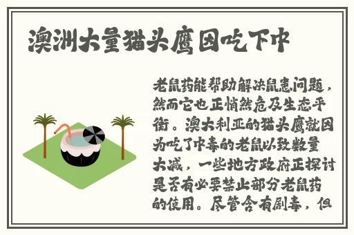 **字幕久久精品无码app